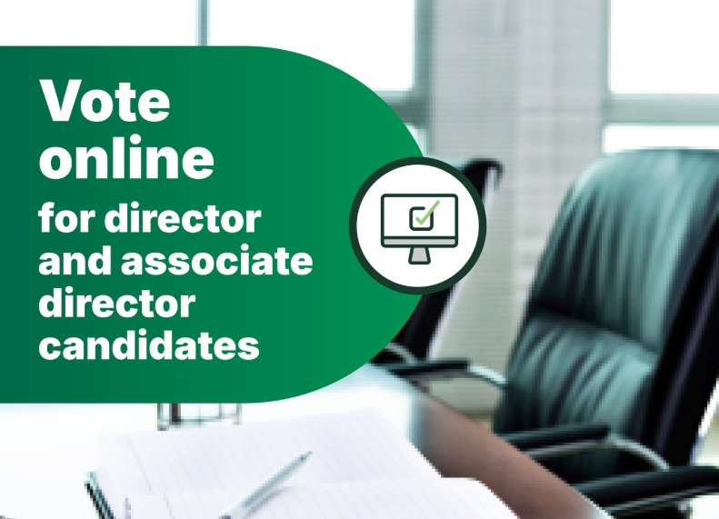 Vote online for director and associate director candidates